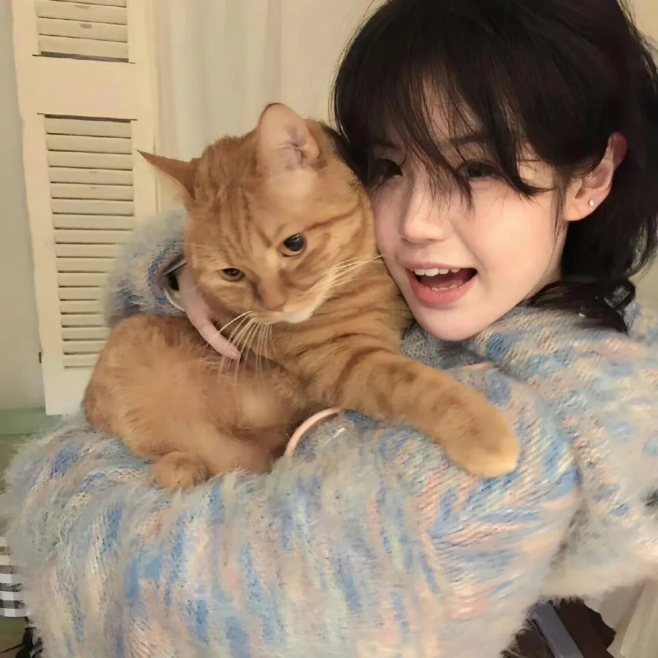 直到天空迎来太阳